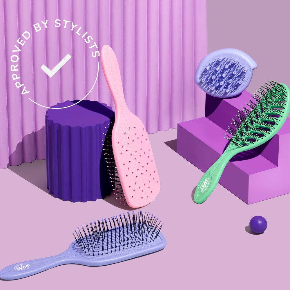 Wet Brush Go Green utilisation quotidienne sur cheveux secs