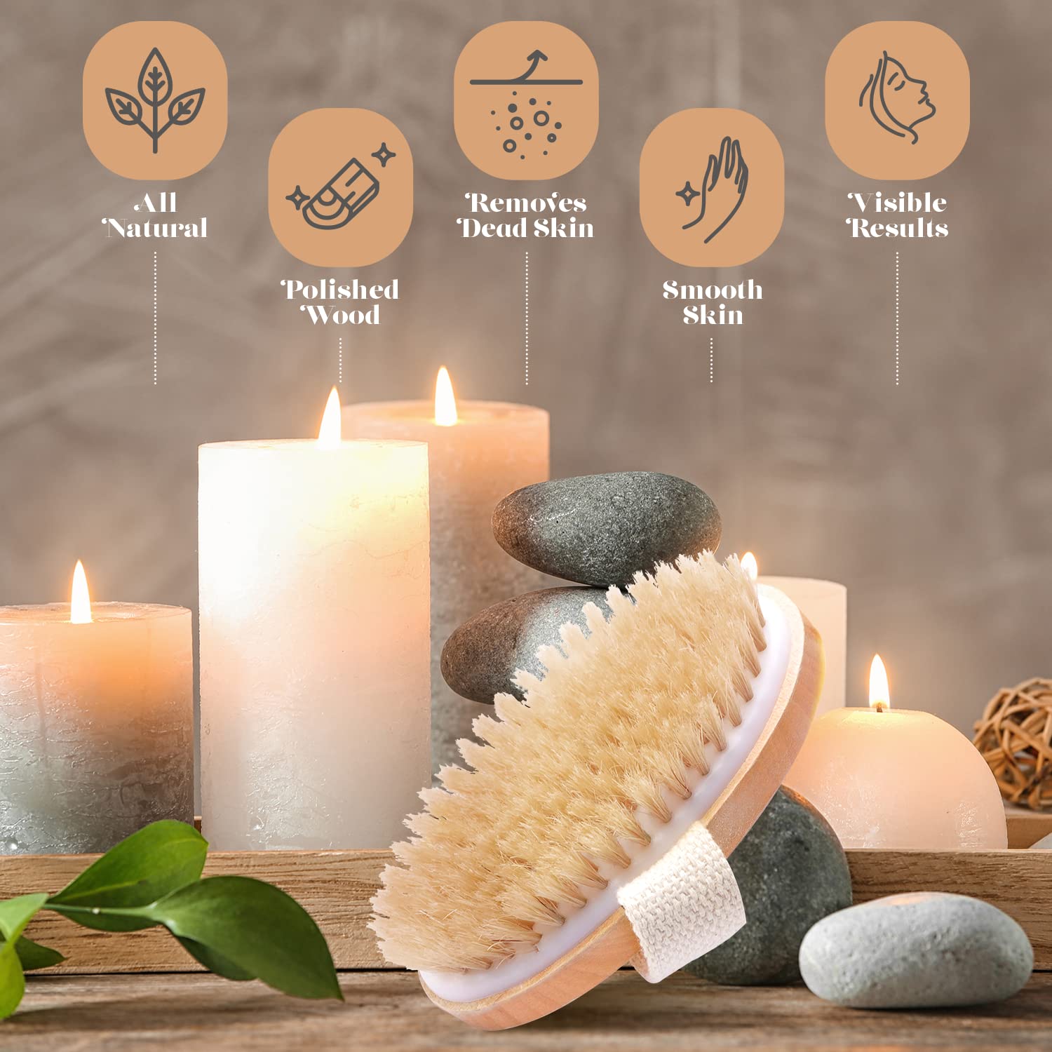 Wholesome Beauty Brosse bois durable – choix naturel et éco-responsable