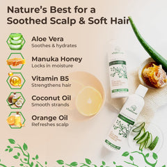 Wild Naturals après-shampooing dermite séborrhéique – flacon démêle et nourrit.