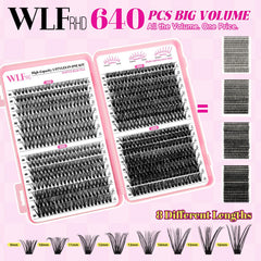 WLFRHD outil application cils : pince et accessoire faciles pour débutants.
