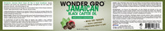 Wonder Gro application sur le cuir chevelu pour nourrir les racines en douceur.