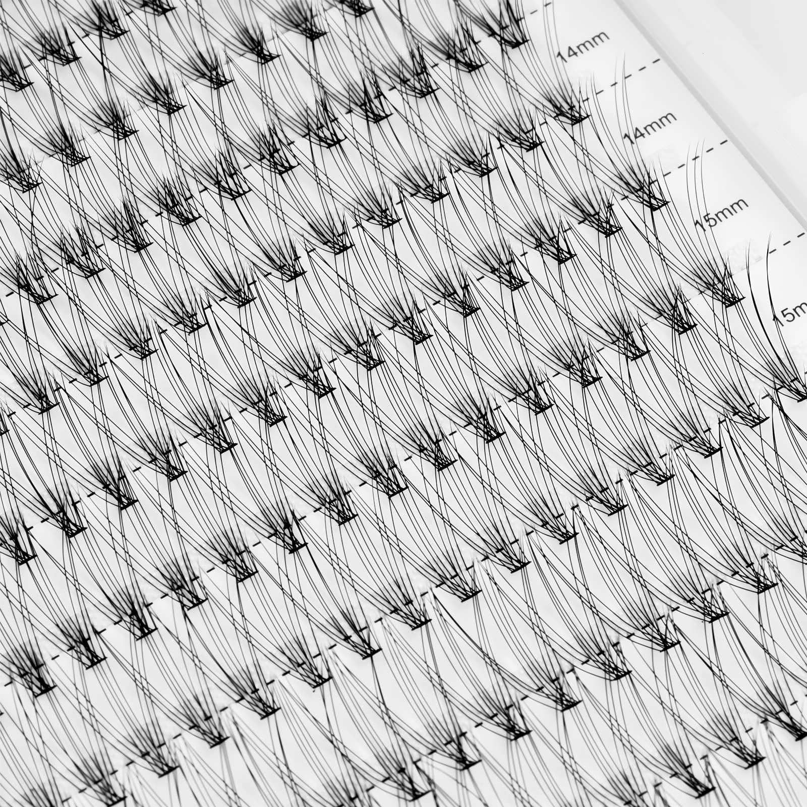 Cils WONSIS 10D lash clusters 12 mm – application personnalisée et polyvalente.