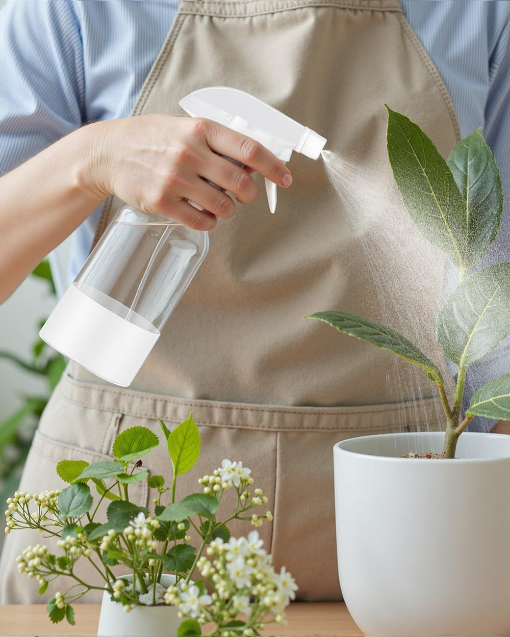 Worldgsb bouteille verre 8oz, nettoyage domestique et usages polyvalents.