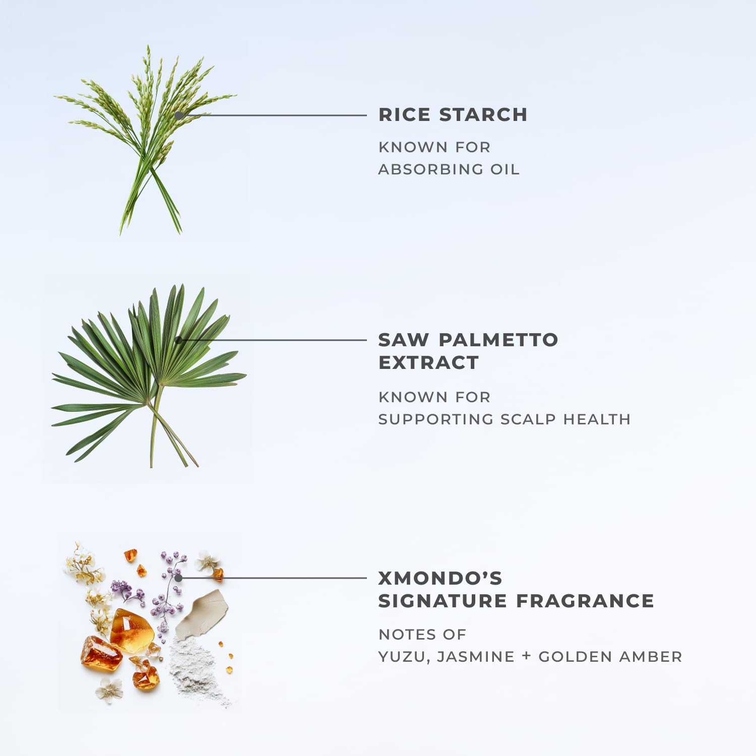 XMONDO Hair BOOST X Shampoing Sec — testé dermatologiquement et sans résidu