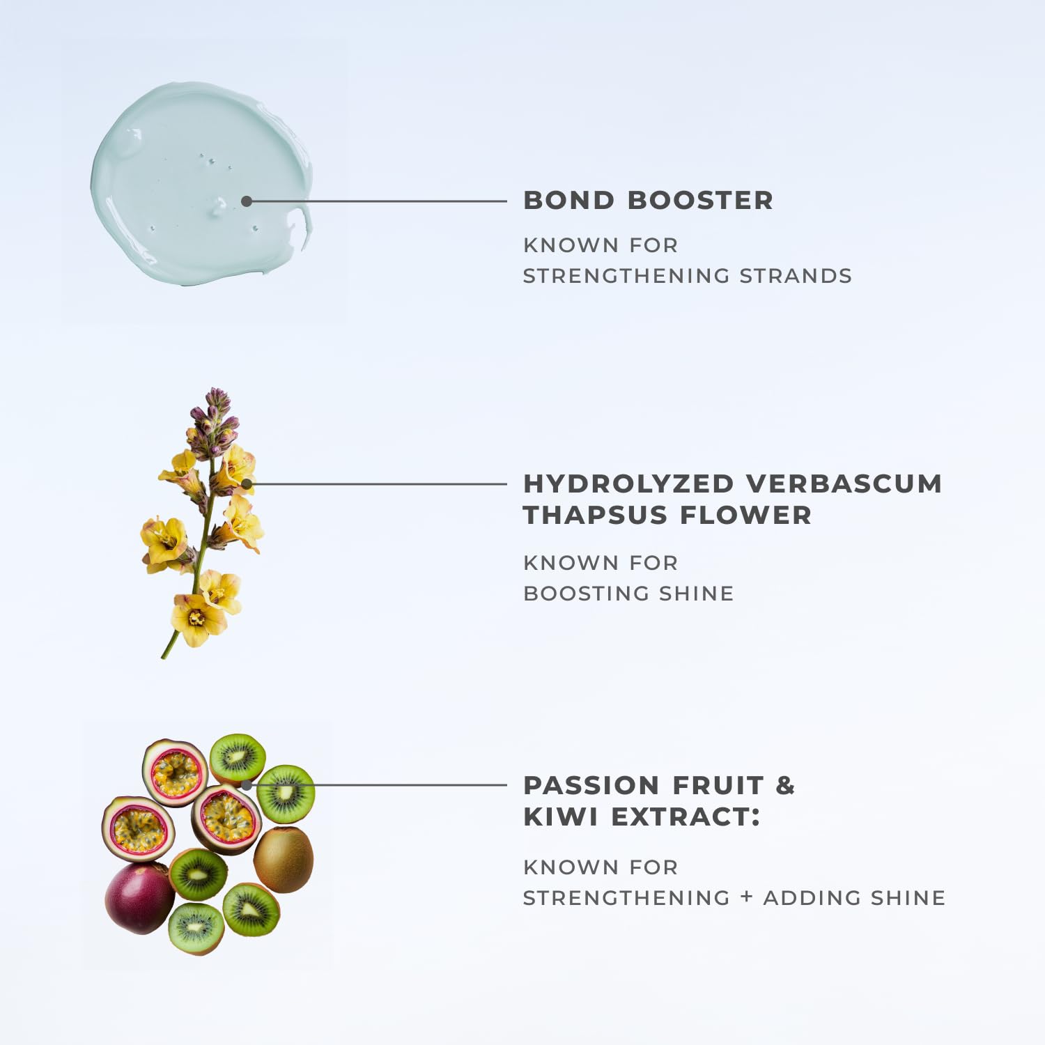 Parfum signature XMONDO: cerisier, bergamote et jasmin pour l’expérience sensorielle.