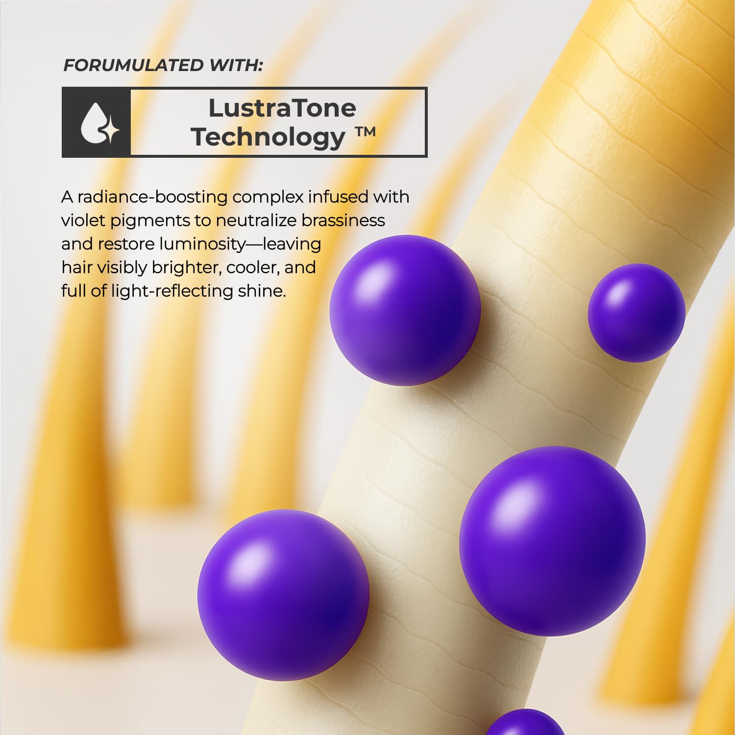 XMONDO Supernova: formule sans sulfates et parabènes