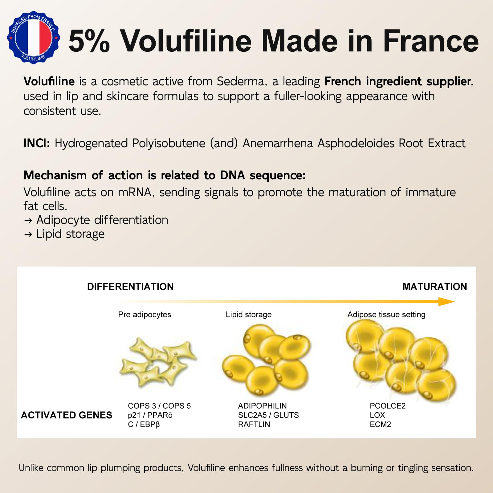 YouthVibe soin nourrissant au karité et à l'hyaluronique pour les lèvres.