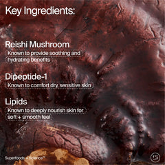 Youth To The People Adaptogen Crème: apaisement de la rougeur et barrière cutanée renforcée