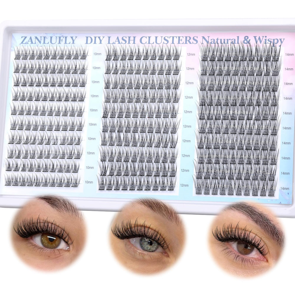 Application simple avec Zanlufly amas c-curly pour débutants