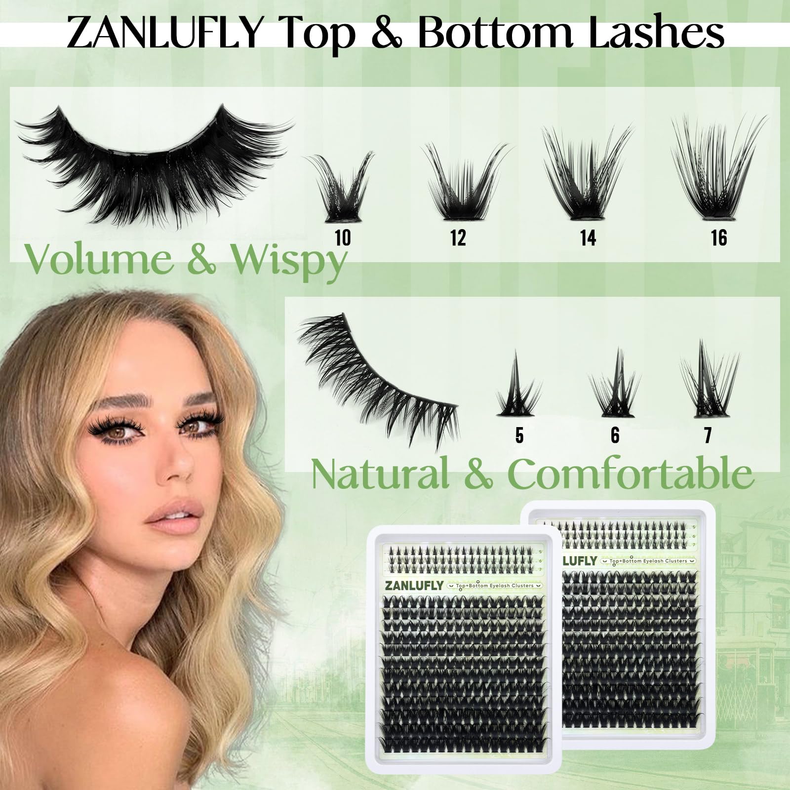 Zanlufly cils-groupes à courbure en D pour un regard défini