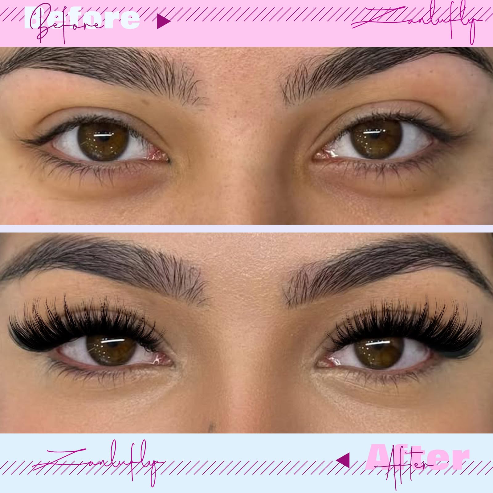 Guide d’application des cils ZANLUFLY pour une pose précise et durable.