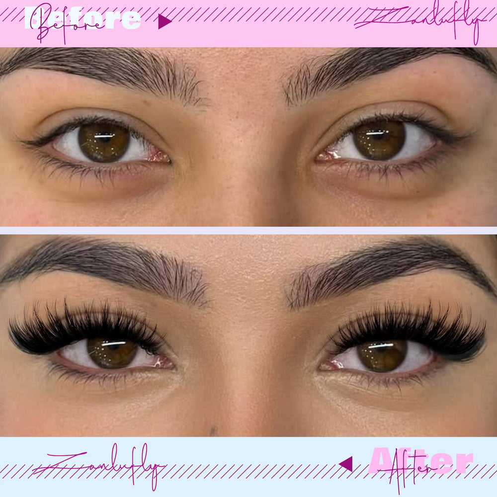 Guide d’application des cils ZANLUFLY pour une pose précise et durable.