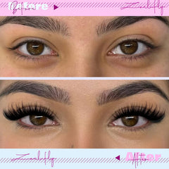 Guide d’application des cils ZANLUFLY pour une pose précise et durable.