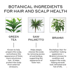 Zenagen Revolve: application-cheveux rapide de 5 minutes pour les soins.