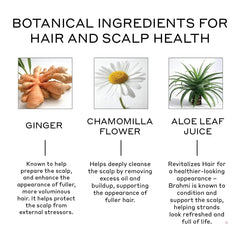 Zenagen Revolve emballage élégant, soin capillaire doux