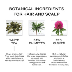 Zenagen Sérum Densifiant – application sur cuir chevelu sans résidu gras.