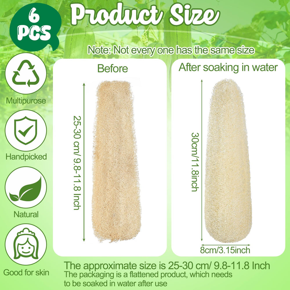 Lot de six éponges ZhouBoat loofah naturelles idéal pour un remplacement durable.