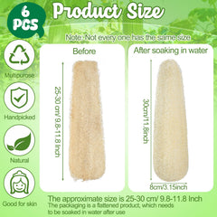 Lot de six éponges ZhouBoat loofah naturelles idéal pour un remplacement durable.