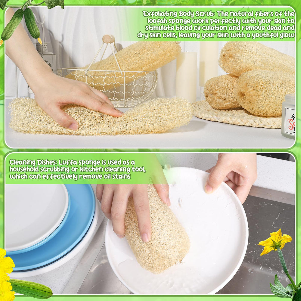 Solution polyvalente ZhouBoat loofah naturelle pour cuisine et salle de bain.