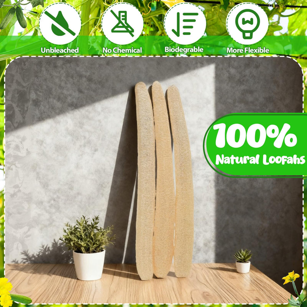 ZhouBoat Loofah naturel variations de couleur naturelles