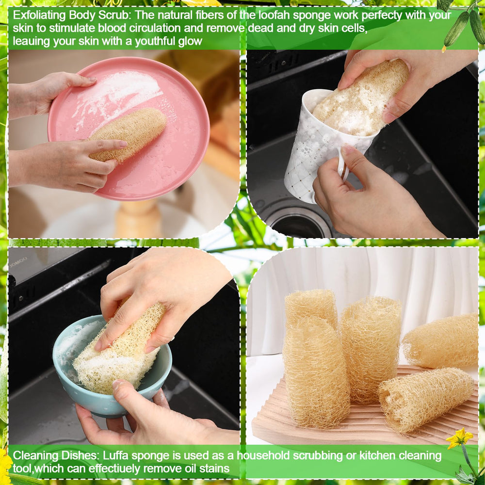 ZhouBoat Loofah naturel nettoyage vaisselle avec éponge