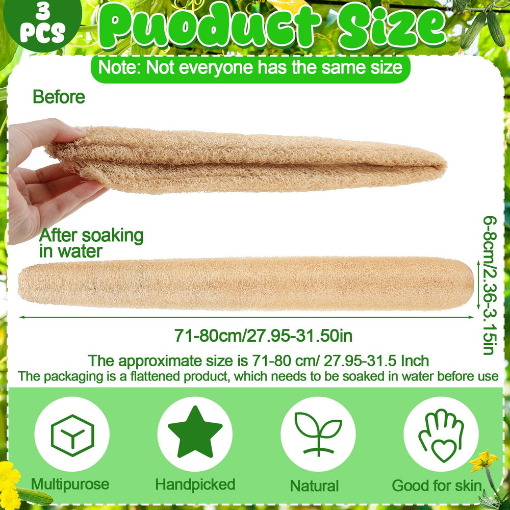 ZhouBoat Loofah naturel exfoliation douce pour le corps