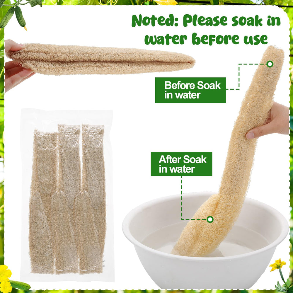 ZhouBoat Loofah naturel emballage plat et recyclable