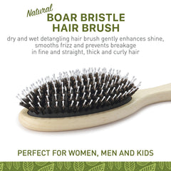 Zollo brosse montrant pins en nylon arrondis pour démêler sans accrocher.